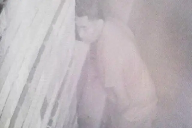 The suspect, caught on a security camera